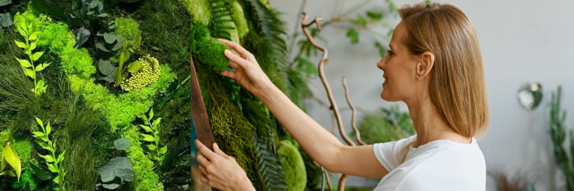 Végétaux artificiels stabilisés ou sec